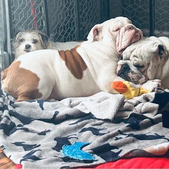 SuburbanMomma’s Going LIVE!! - Picture 7 of 8